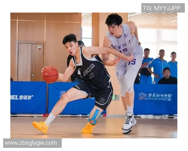 杭州篮球队的奋斗历程与荣耀时刻全景回顾